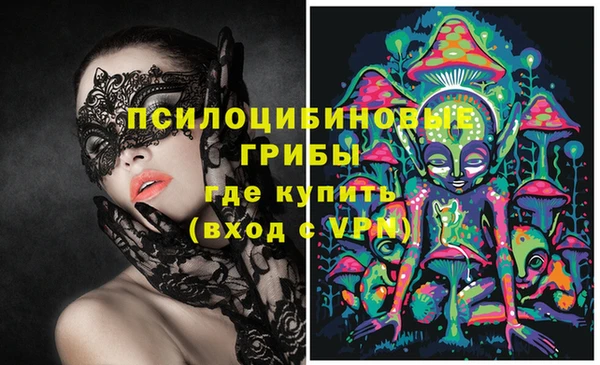 ешки Богородицк