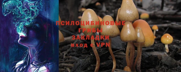 ALPHA PVP Богданович