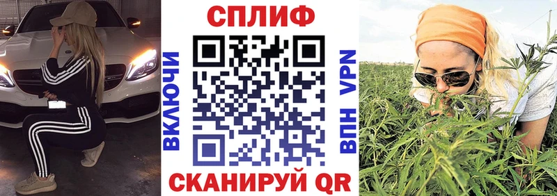 купить наркоту  Реж  Конопля сатива 